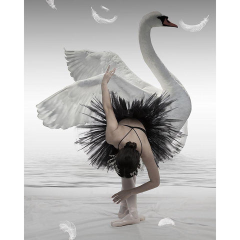 Swan Lake White Modern Wood Framed Art Print by Mieke