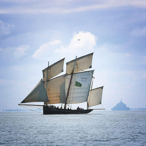 Boat-Bird And Mount Gold Ornate Wood Framed Art Print with Double Matting by Demoulin, Vincent