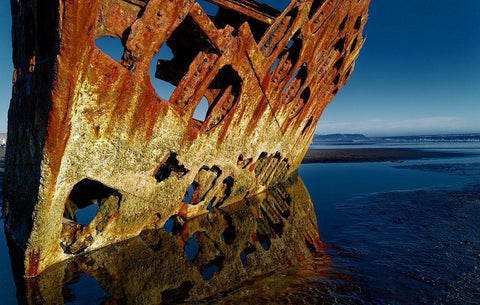 Death Still Waits Black Ornate Wood Framed Art Print with Double Matting by Mccleave, Thomas