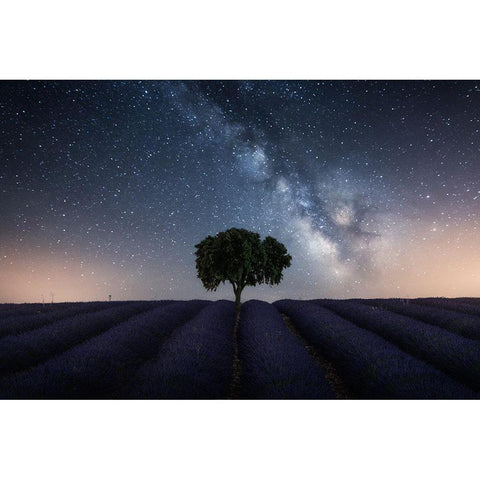 Tree And Milky Way Black Modern Wood Framed Art Print with Double Matting by Ruiz Dueso, Jorge