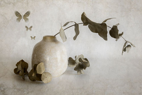 Calm Days White Modern Wood Framed Art Print with Double Matting by Kiral, Cicek