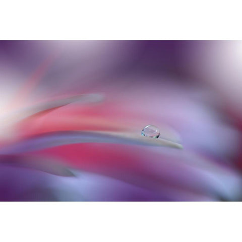 The Essence Of Being..II White Modern Wood Framed Art Print by Nan, Juliana