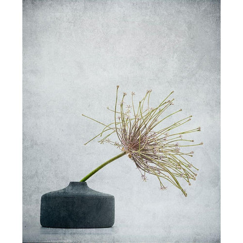 Simple Comme Bonjour . Black Modern Wood Framed Art Print with Double Matting by Dingemans, Saskia