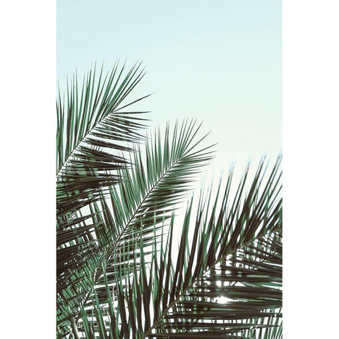 Palm leaves-sky_1 White Modern Wood Framed Art Print by 1x Studio III