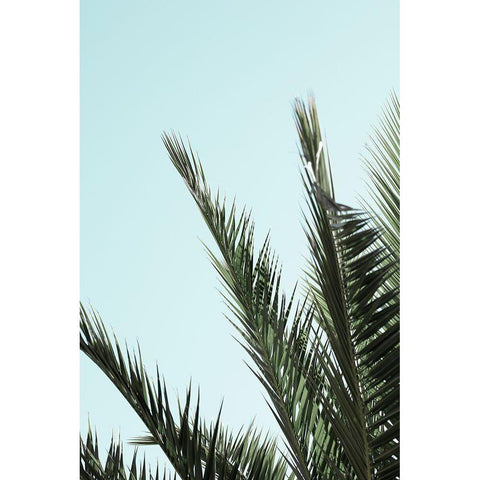 Palm leaves and sky_2 White Modern Wood Framed Art Print by 1x Studio III