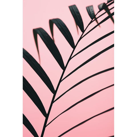 Graphic palm leaf_2 Black Modern Wood Framed Art Print with Double Matting by 1x Studio III