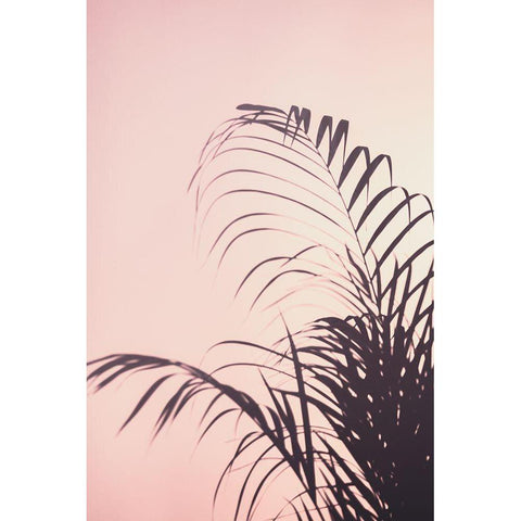 Palm Leaves_1 White Modern Wood Framed Art Print by 1x Studio III