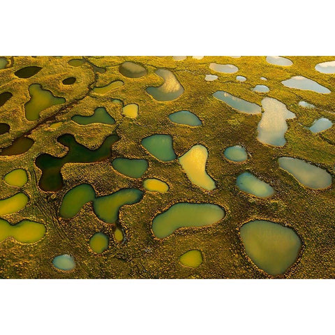 Aerial Abstract Of Small Lakes White Modern Wood Framed Art Print by Bian, James