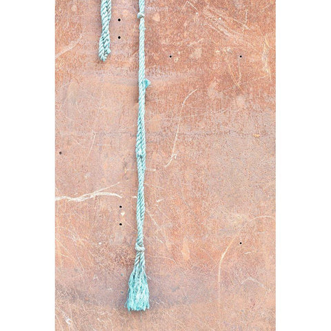 Wall and string_light Gold Ornate Wood Framed Art Print with Double Matting by 1x Studio III