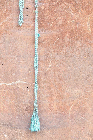 Wall and string_light Black Ornate Wood Framed Art Print with Double Matting by 1x Studio III