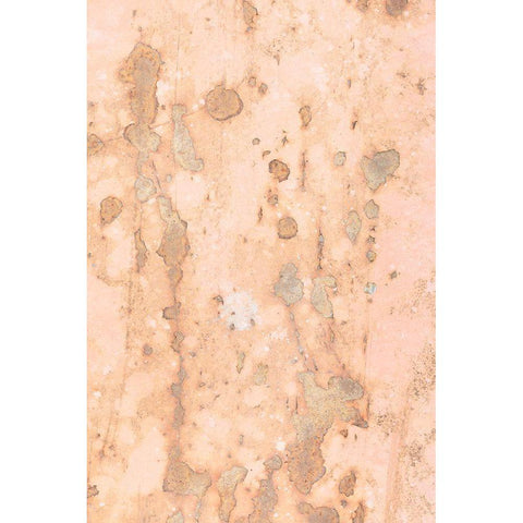 Sheet metal wall_5 Gold Ornate Wood Framed Art Print with Double Matting by 1x Studio III