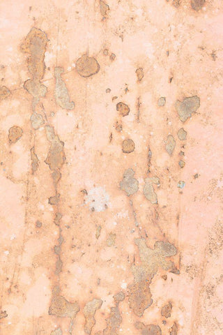 Sheet metal wall_5 Black Ornate Wood Framed Art Print with Double Matting by 1x Studio III