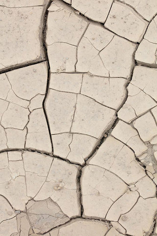 Clay wall_beige Black Ornate Wood Framed Art Print with Double Matting by 1x Studio III