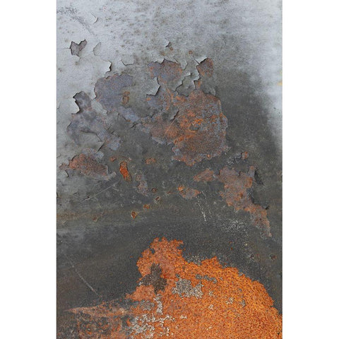 Corrugated Iron_5 Black Modern Wood Framed Art Print with Double Matting by 1x Studio III