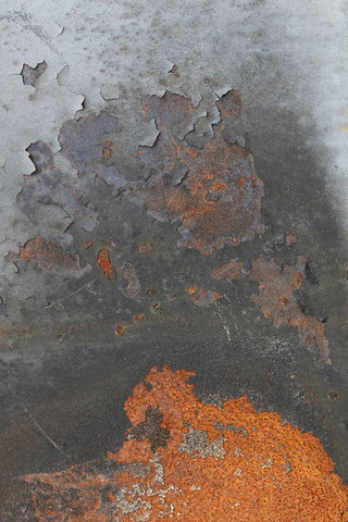 Corrugated Iron_5 Black Ornate Wood Framed Art Print with Double Matting by 1x Studio III