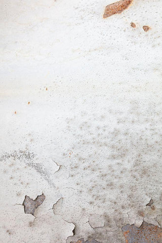 corrugated iron wall-white Black Ornate Wood Framed Art Print with Double Matting by 1x Studio III