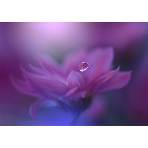 Without Form, Without Limit.. White Modern Wood Framed Art Print by Nan, Juliana