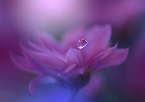 Without Form, Without Limit.. White Modern Wood Framed Art Print with Double Matting by Nan, Juliana