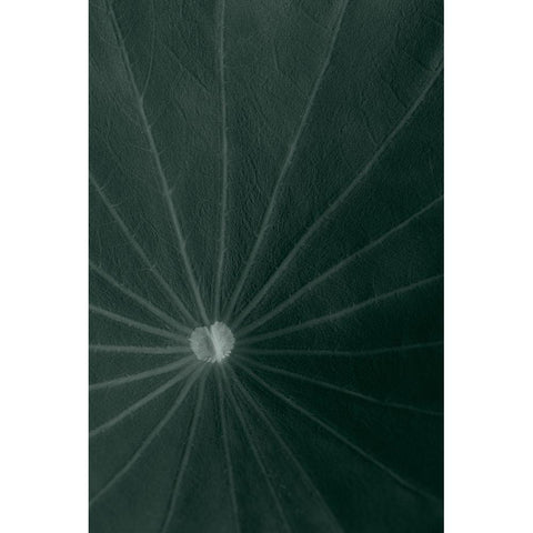 Dark green leaf Gold Ornate Wood Framed Art Print with Double Matting by 1x Studio III