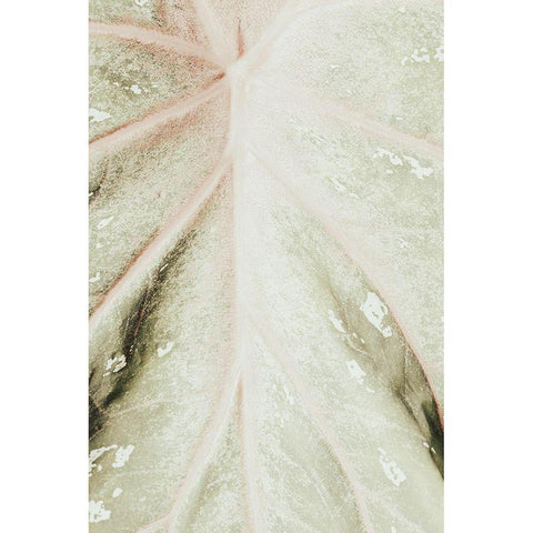 Light green leaf Black Modern Wood Framed Art Print by 1x Studio III