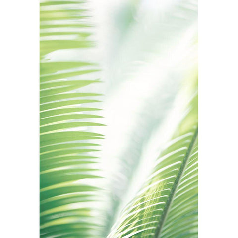 Light Palm tree leaves_2 Gold Ornate Wood Framed Art Print with Double Matting by 1x Studio III