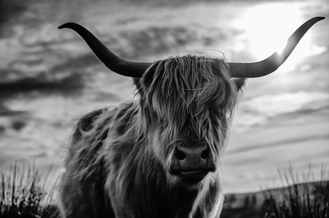 Scottish Black Ornate Wood Framed Art Print with Double Matting by Kreiten, Mike