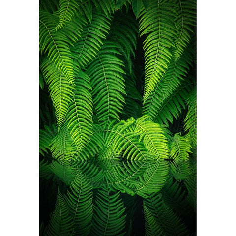 Beauty In Nature Black Modern Wood Framed Art Print by Mitamura, Takeshi