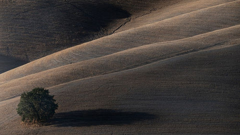 Soon My Shadow Will Dissolve Black Ornate Wood Framed Art Print with Double Matting by Moretti, Claudio