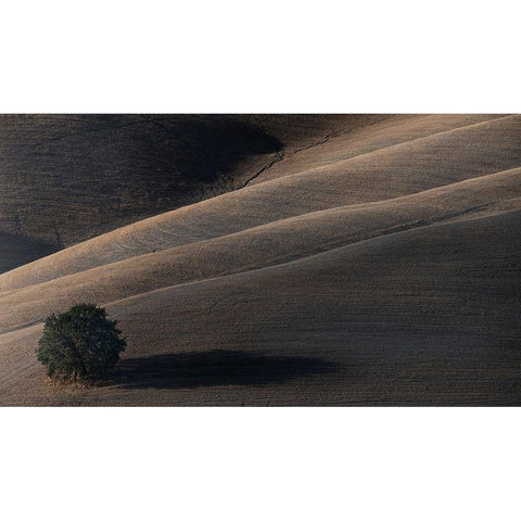 Soon My Shadow Will Dissolve Black Modern Wood Framed Art Print with Double Matting by Moretti, Claudio