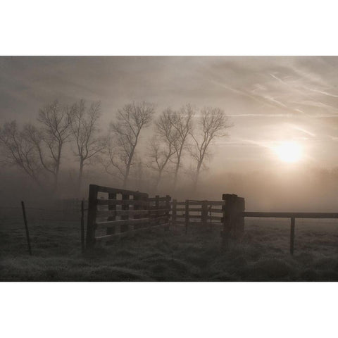Hazy Morning Symphony White Modern Wood Framed Art Print by Depaepe, Yvette