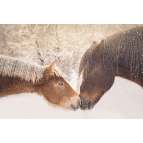 Meeting In The Frozen Valley White Modern Wood Framed Art Print by Reale, Ludovico
