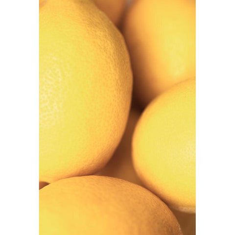 Lemons_2 White Modern Wood Framed Art Print by 1x Studio III