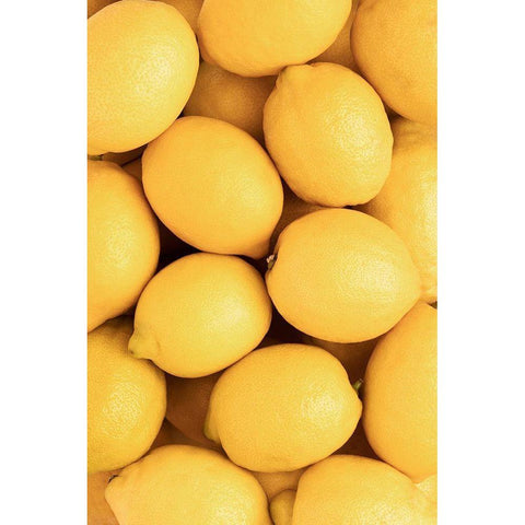 Lemons_3 White Modern Wood Framed Art Print by 1x Studio III