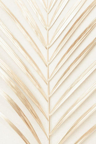 Golden Palm Leaf White Modern Wood Framed Art Print with Double Matting by 1x Studio III