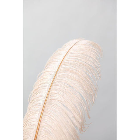 Feather_1 White Modern Wood Framed Art Print by 1x Studio III