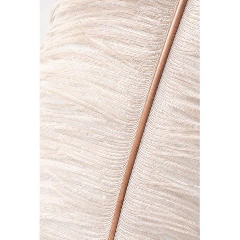 Feather_2 Black Modern Wood Framed Art Print with Double Matting by 1x Studio III