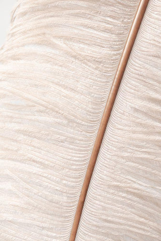 Feather_2 White Modern Wood Framed Art Print with Double Matting by 1x Studio III