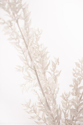 Dried Straws Black Ornate Wood Framed Art Print with Double Matting by 1x Studio III