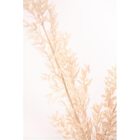 Dried Straws_2 White Modern Wood Framed Art Print by 1x Studio III