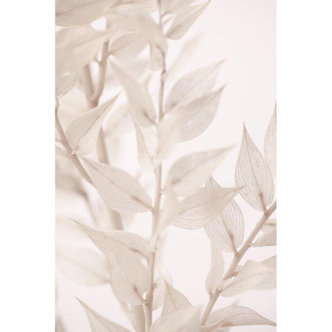 Dried Straws_3 White Modern Wood Framed Art Print by 1x Studio III