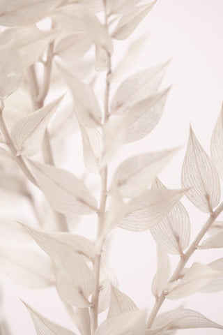 Dried Straws_3 White Modern Wood Framed Art Print with Double Matting by 1x Studio III