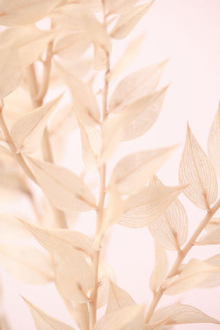 Untitled Black Ornate Wood Framed Art Print with Double Matting by 1x Studio III