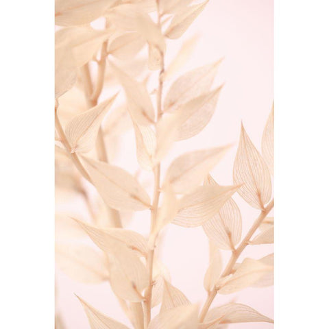 Untitled Black Modern Wood Framed Art Print by 1x Studio III