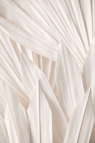 Pattern White Modern Wood Framed Art Print with Double Matting by 1x Studio III