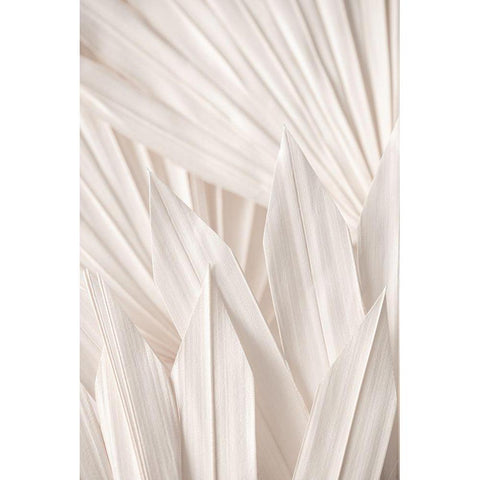 Pattern White Modern Wood Framed Art Print by 1x Studio III