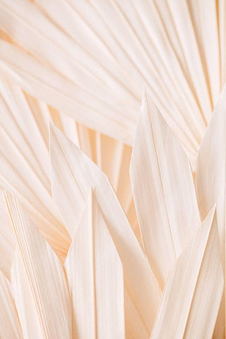 Pattern_2 Black Ornate Wood Framed Art Print with Double Matting by 1x Studio III