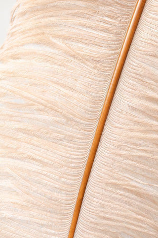 Feather close up_2 White Modern Wood Framed Art Print with Double Matting by 1x Studio III