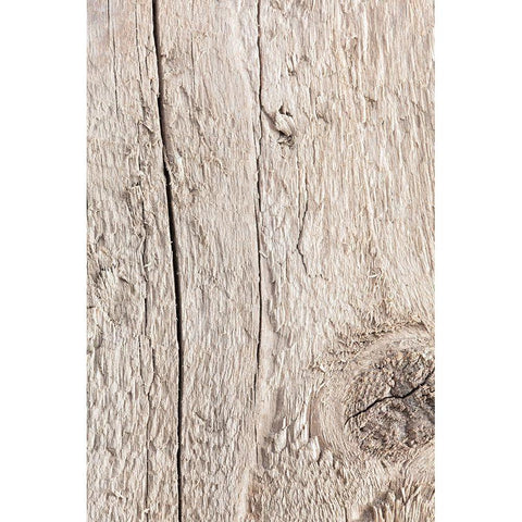 Wood Gold Ornate Wood Framed Art Print with Double Matting by 1x Studio III