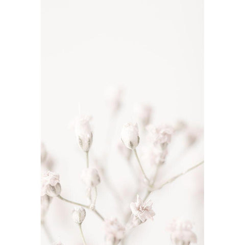 Pink Small Flowers White Modern Wood Framed Art Print by 1x Studio III