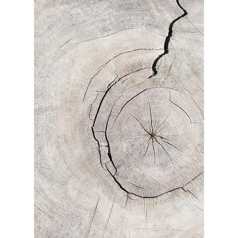Pattern_Wood_2 Black Modern Wood Framed Art Print with Double Matting by 1x Studio III